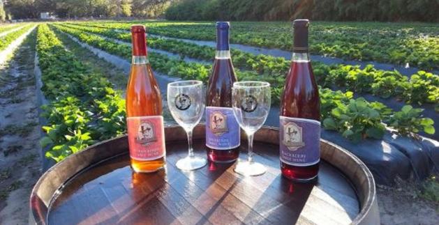 Masaryk Winery