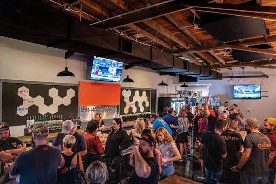 Ology Brewing - Tampa