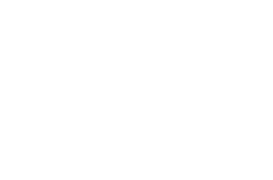 Southern Lights Brewing Company