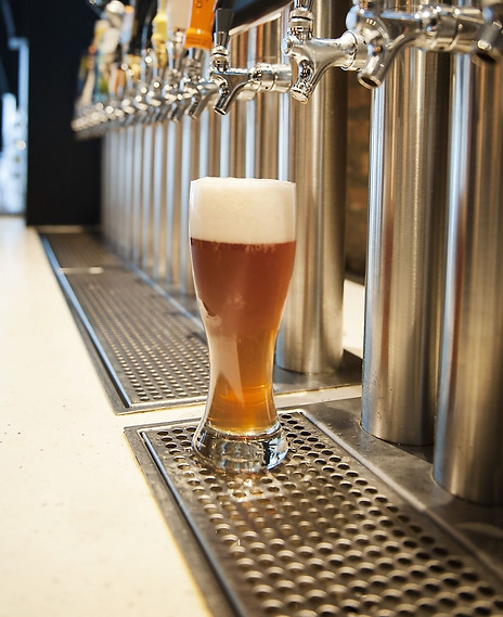 Sponge City Brewing