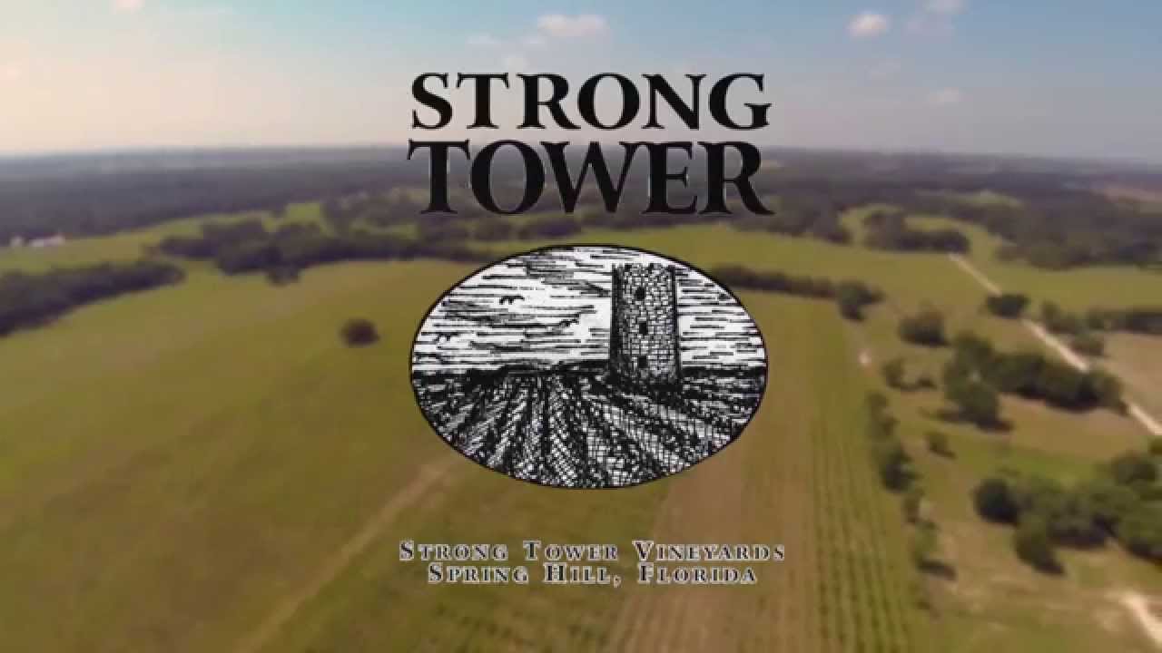 Strong Tower Vineyard & Winery