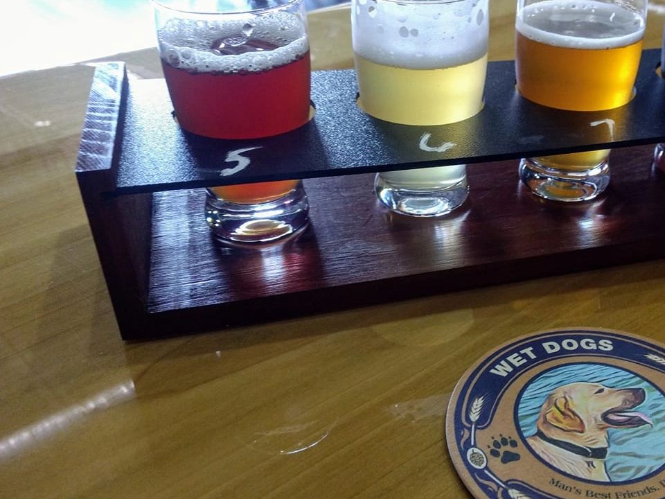 Wet Dogs Brewing